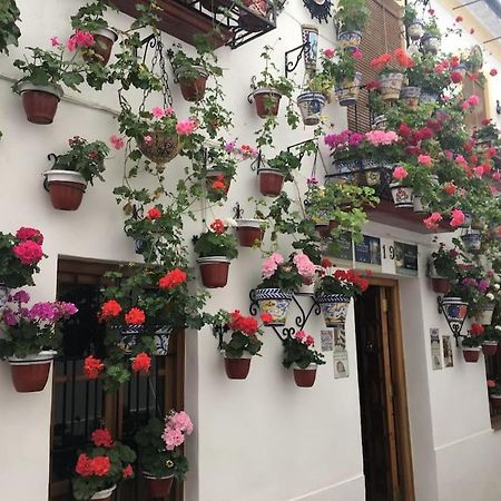 Apartamento Zoco קורדובה מראה חיצוני תמונה