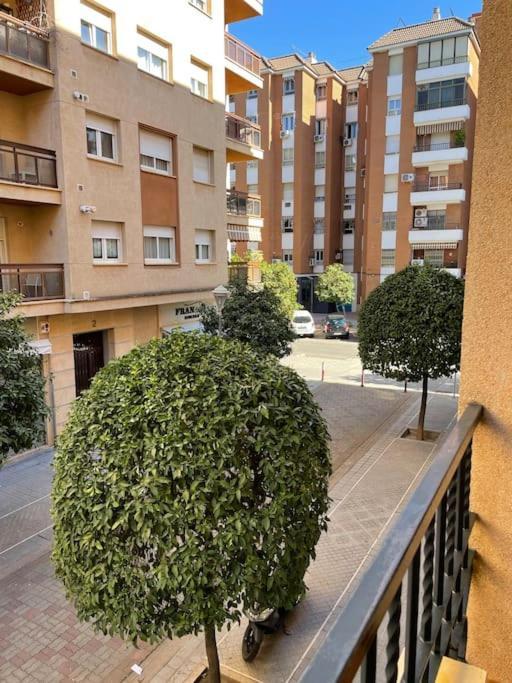 Apartamento Zoco קורדובה מראה חיצוני תמונה